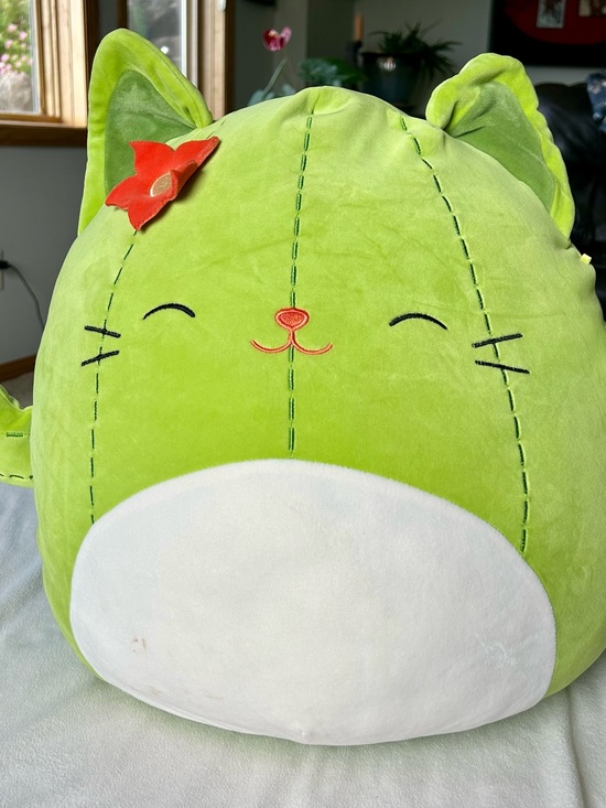 Squishmallows Other - Squishmallows Ms Miss Cactus Cat 20 inch